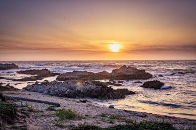 Sandee - Asilomar State Beach