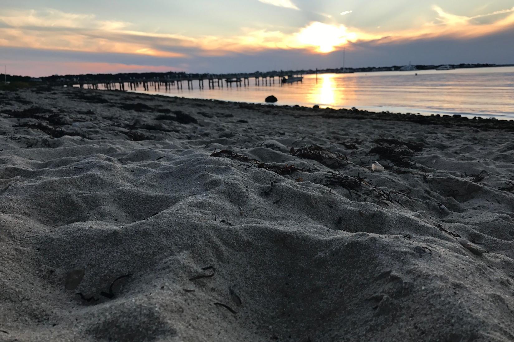 Sandee - Chappy Point Beach