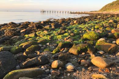 Sandee - Chappy Point Beach