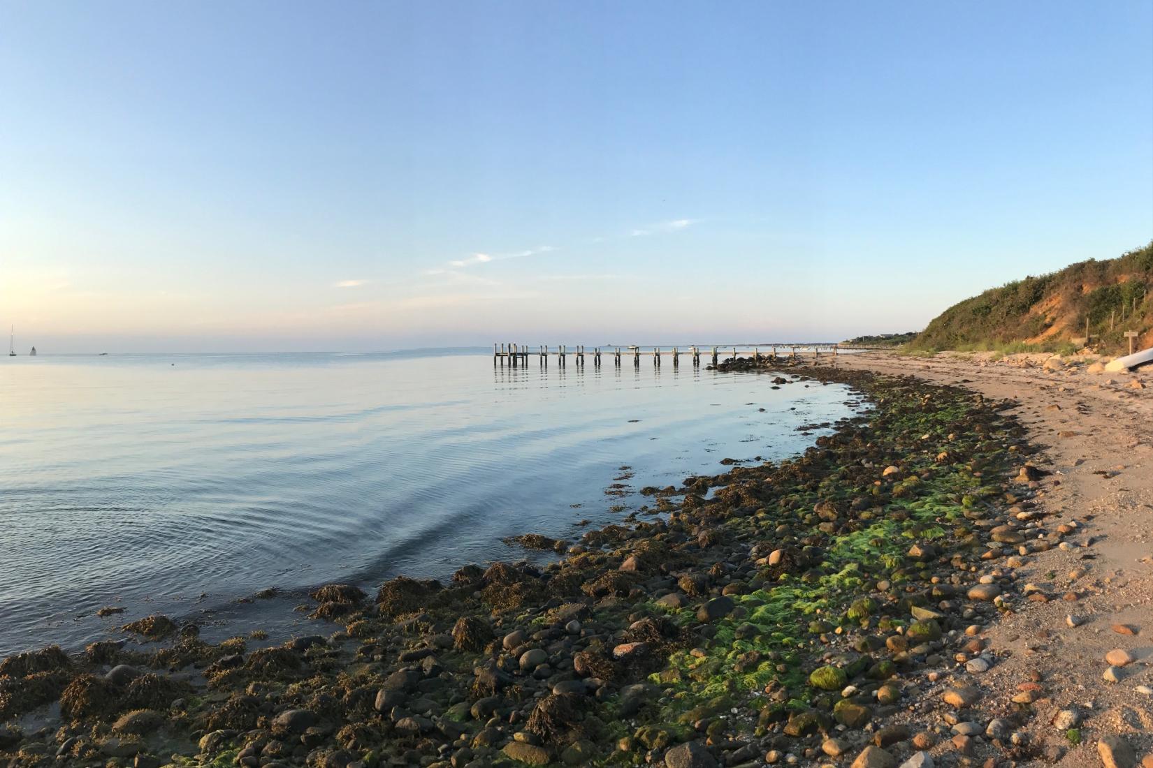 Sandee - Chappy Point Beach