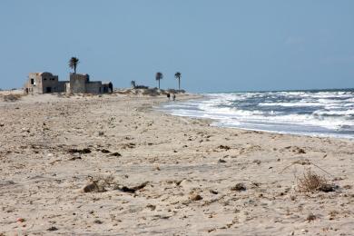 Sandee Palm Beach Djerba Photo