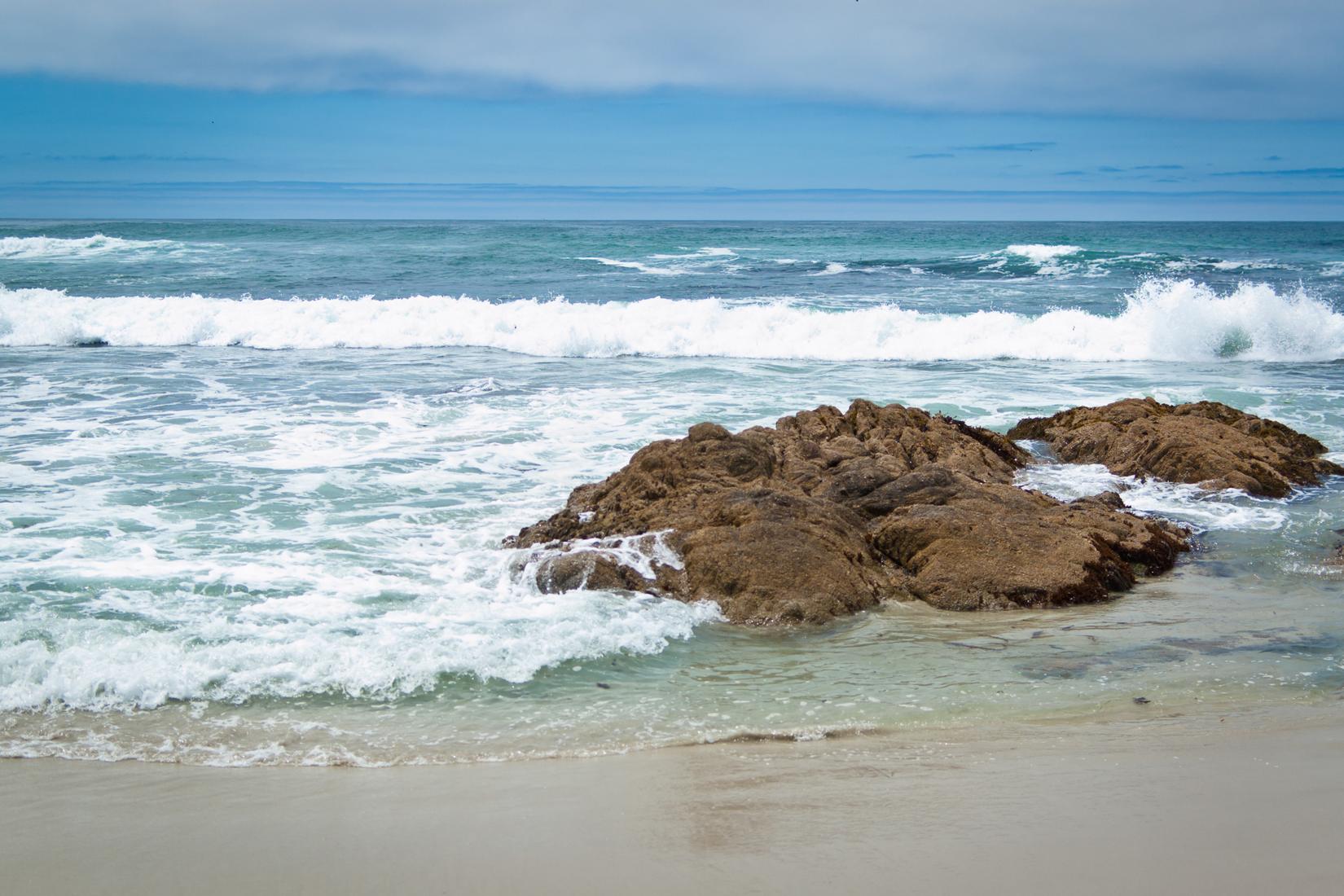 Sandee - Asilomar State Beach