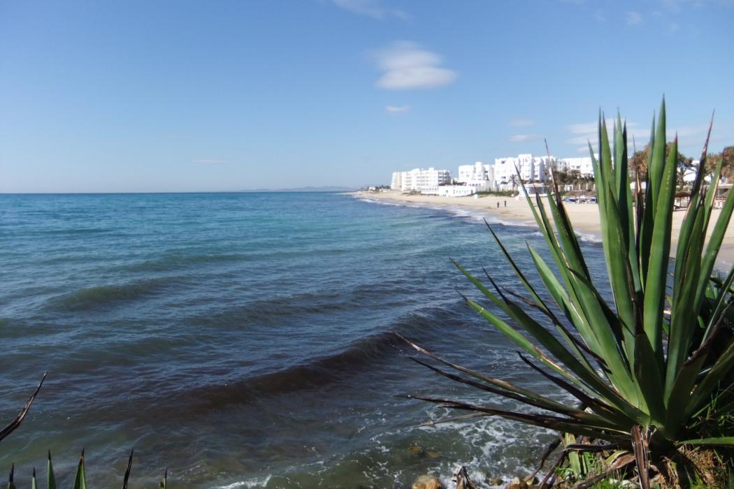 Sandee Hammamet Beach