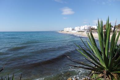 Sandee Hammamet Beach