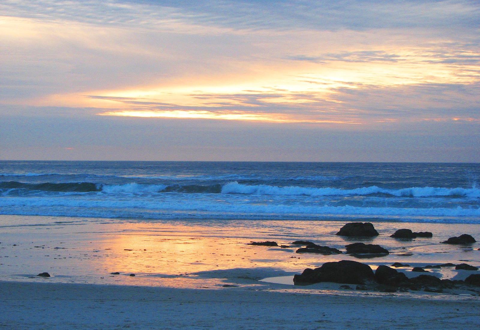 Sandee - Asilomar State Beach