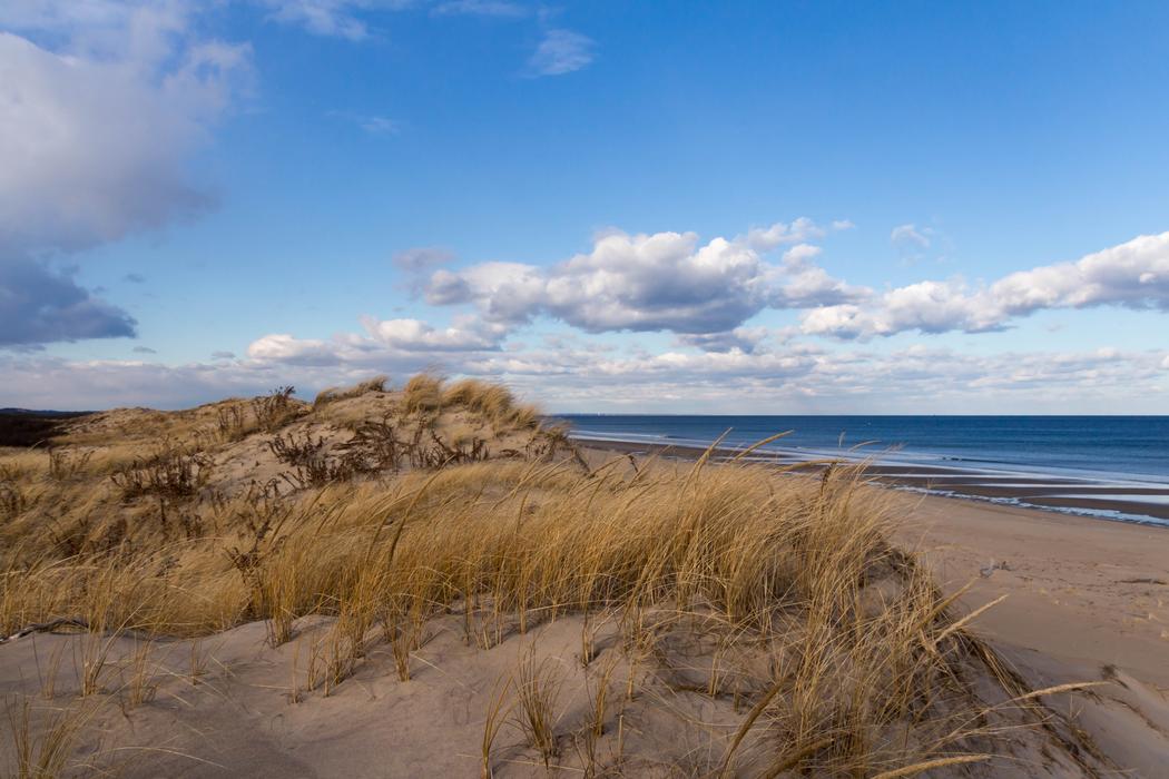 Sandee Plum Island