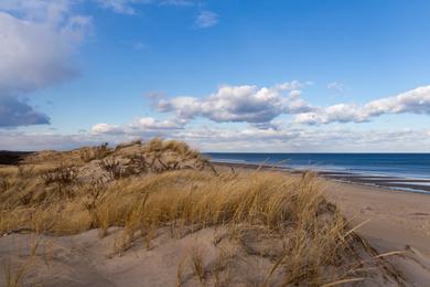 Sandee Plum Island Photo