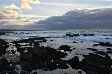 Sandee - Asilomar State Beach