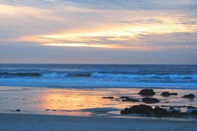 Sandee - Asilomar State Beach