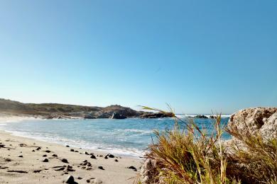Sandee Asilomar State Beach