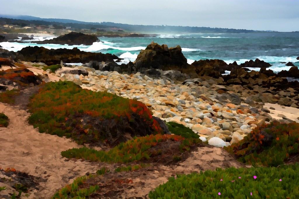 Sandee - Asilomar State Beach