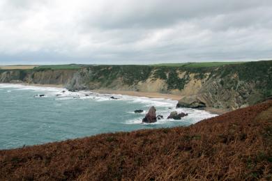 Sandee Marloes Sands Beach