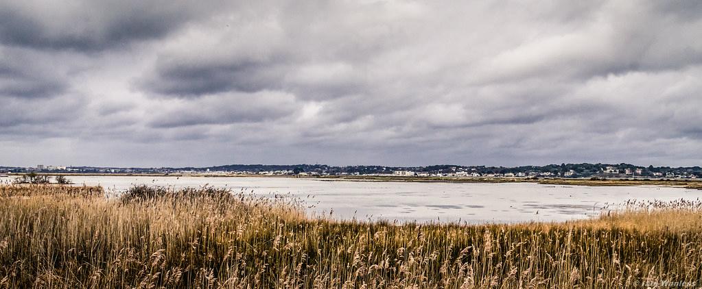 Sandee - Brownsea Island