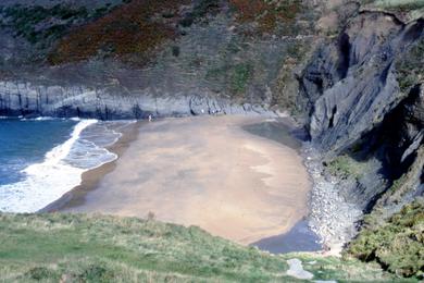 Sandee Mwnt Beach Photo