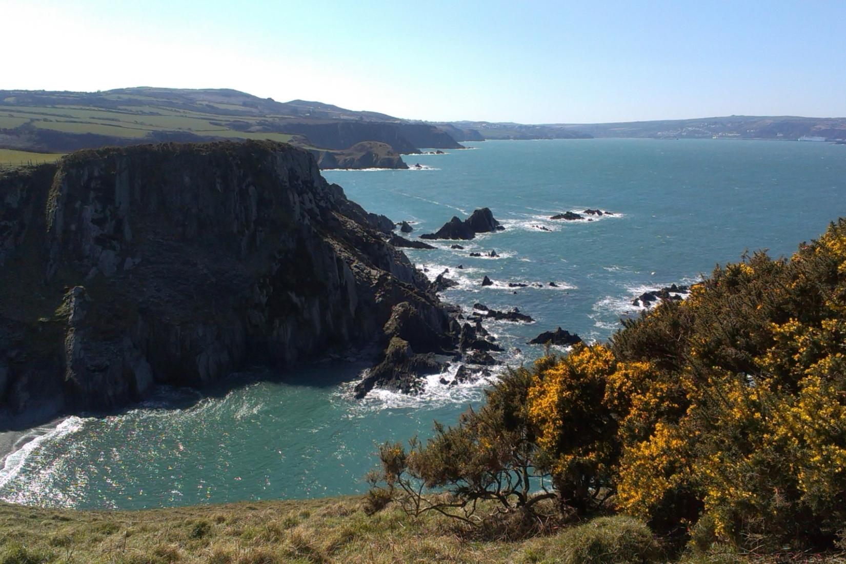 Sandee - Pwllgwaelod Beach