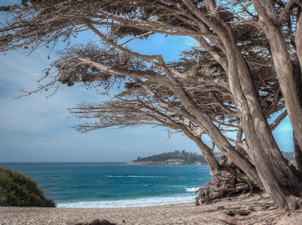 Sandee - Carmel City Beach