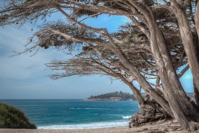 Sandee - Carmel City Beach