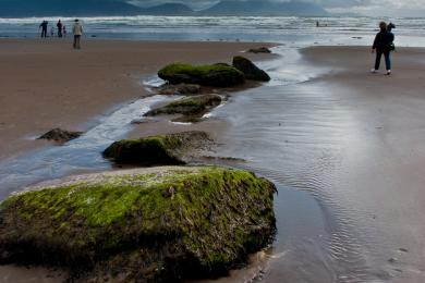 Sandee - Inch Beach