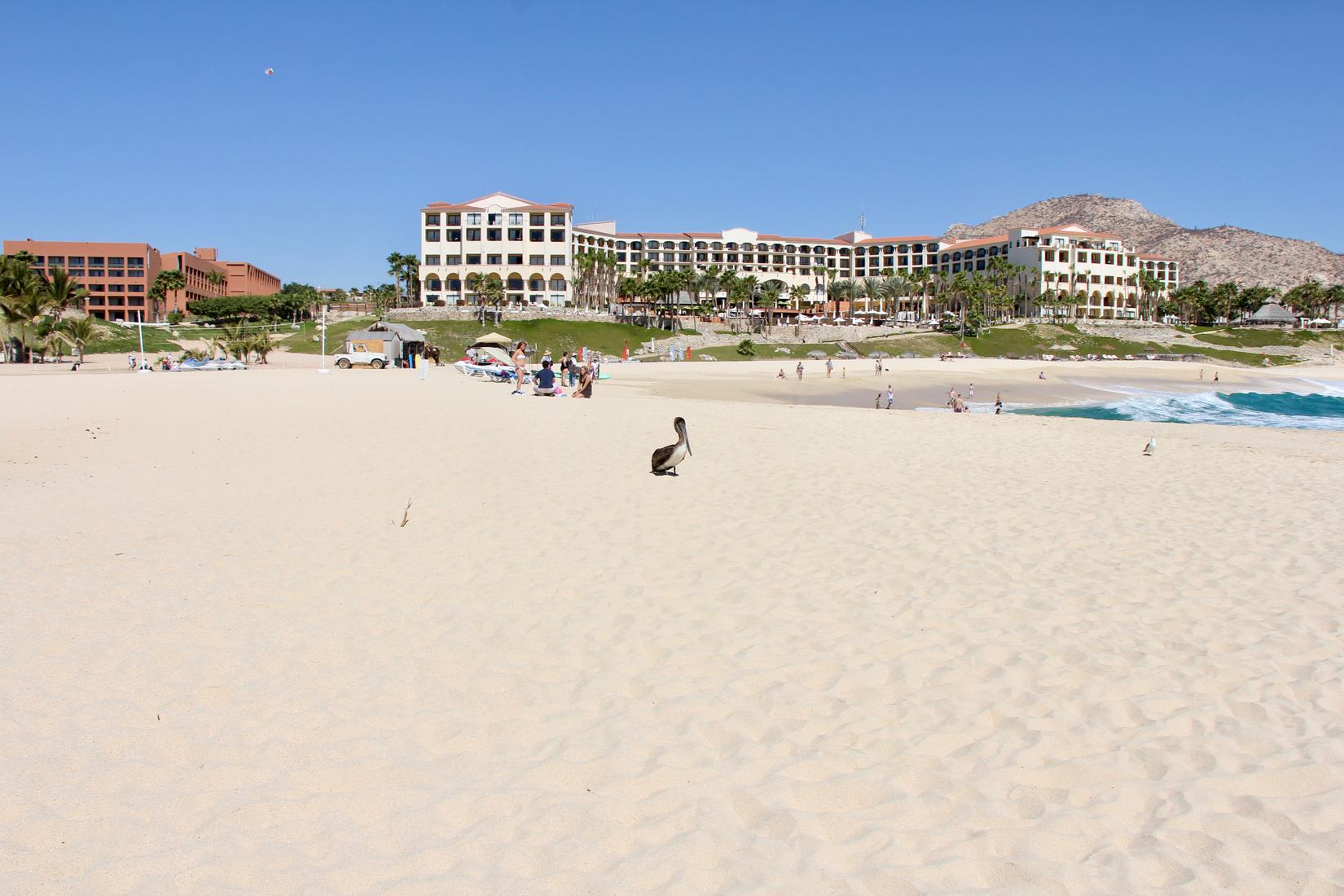 Sandee - The Westin Resort & Spa, Cancun