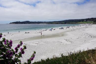 Sandee - Carmel City Beach