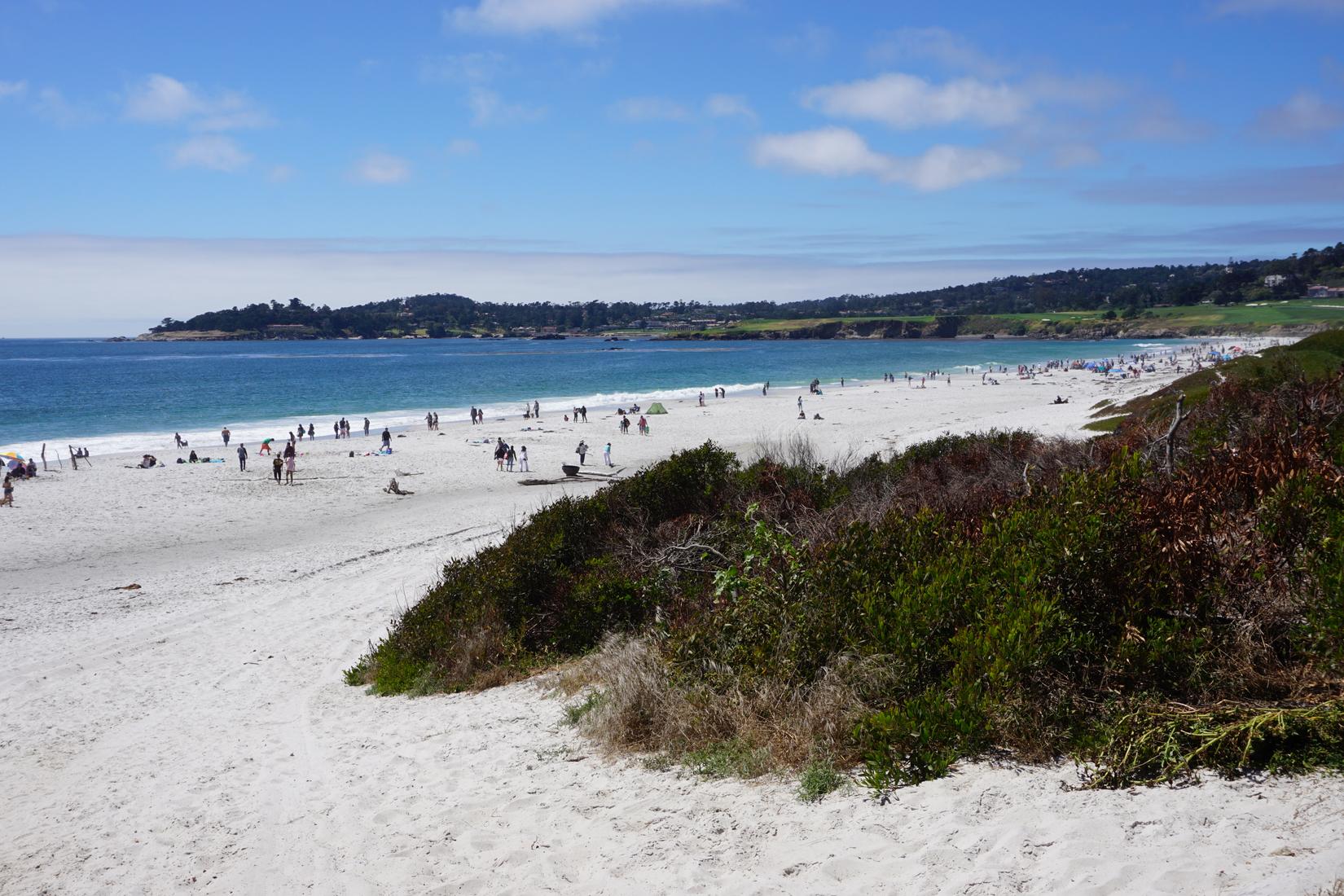 carmel beach surf