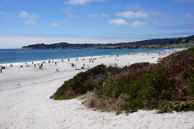 Sandee - Carmel City Beach