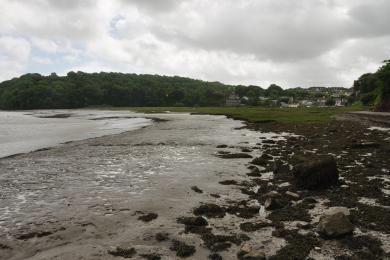 Sandee Laugharne Beach