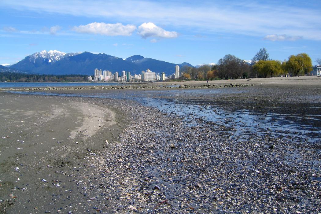 Sandee Kitsilano Beach