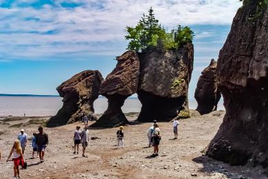 Sandee Hopewell Rocks Beach