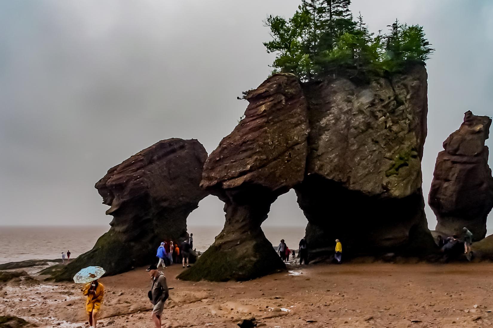 Sandee - Hopewell Rocks Beach