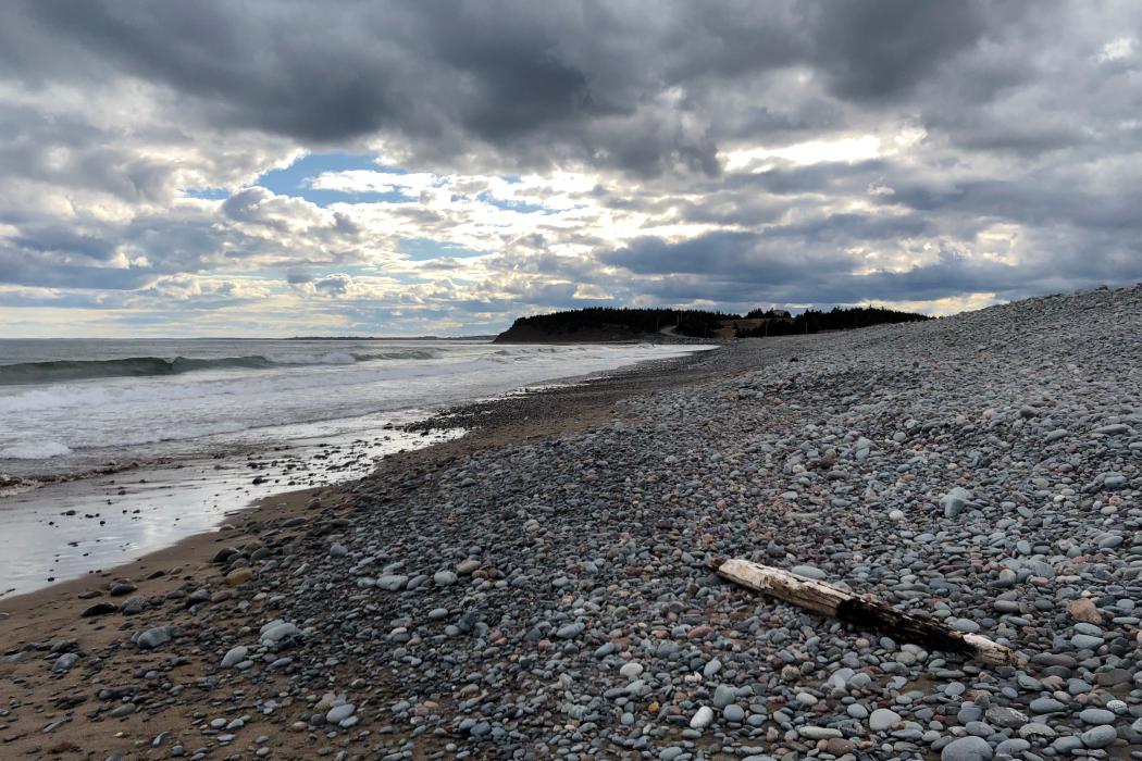 Sandee Lawrencetown Beach
