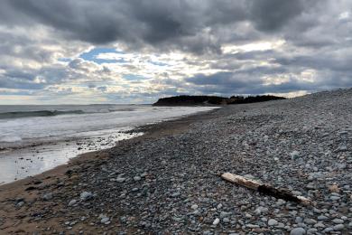 Sandee Lawrencetown Beach