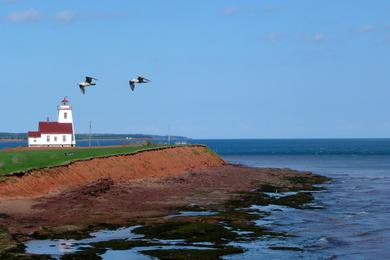 Sandee Wood Islands Provincial Park