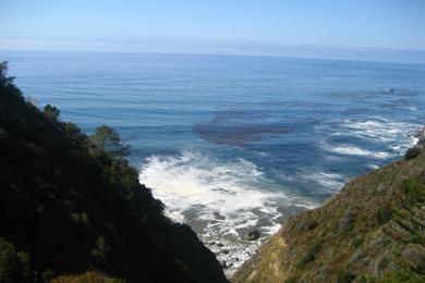 Sandee John Little State Natural Reserve