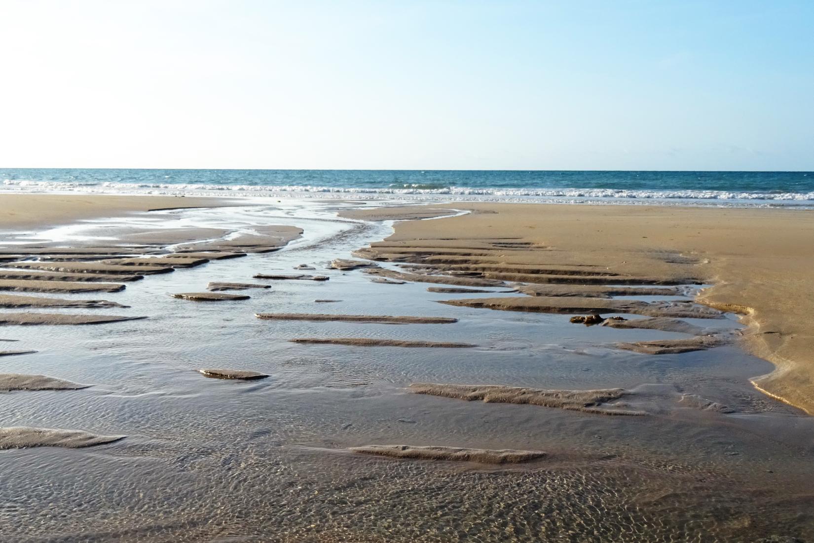 Sandee - Cobourg Beach