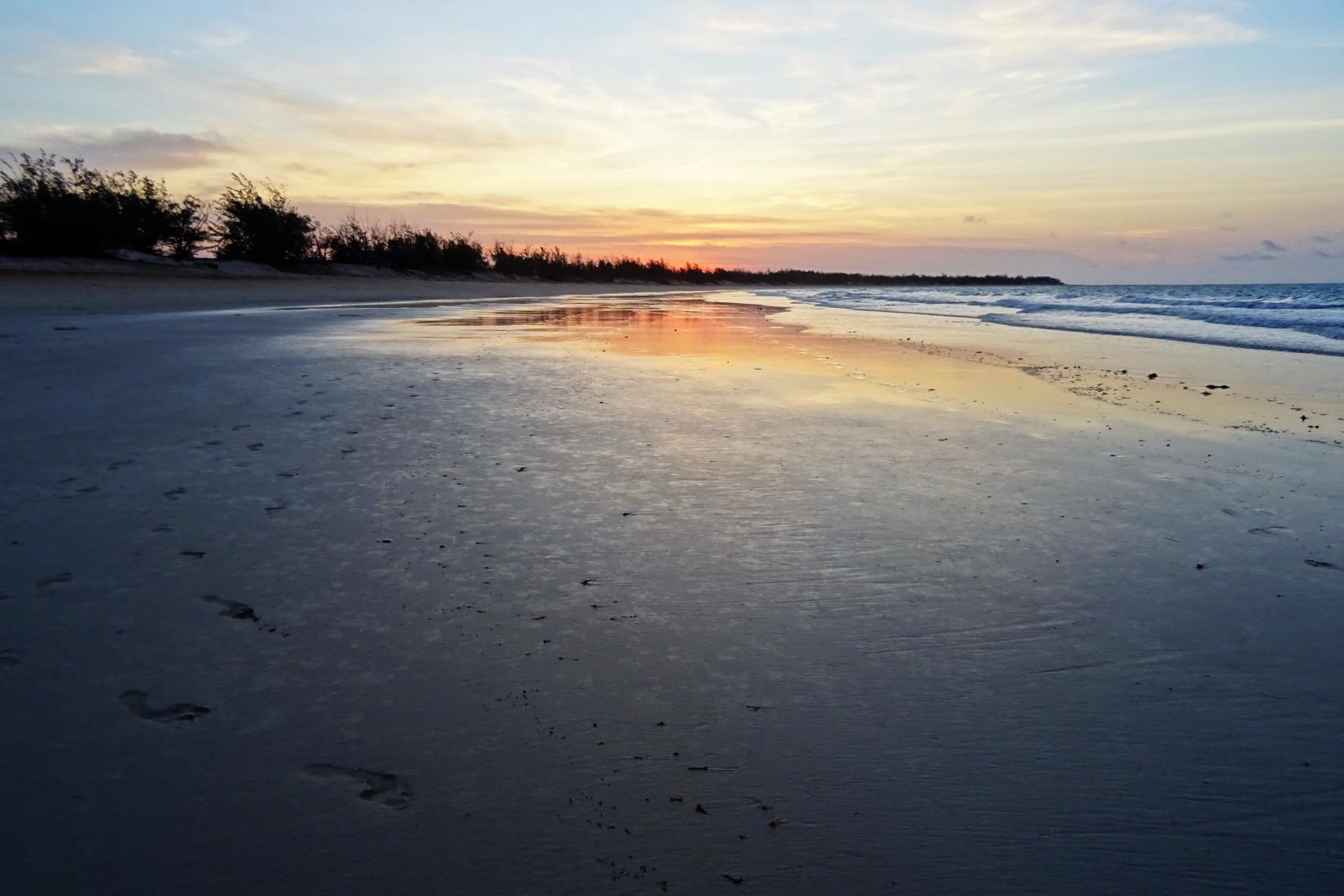 Sandee - Cobourg Beach