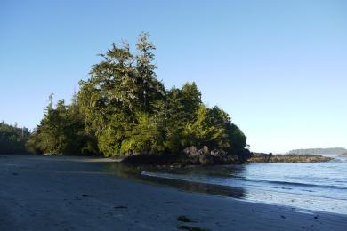 Sandee - Mackenzie Beach