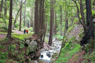 Sandee - Limekiln State Park