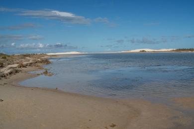 Sandee De Mond Nature Reserve Photo