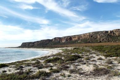 Sandee Elands Bay Beach Photo