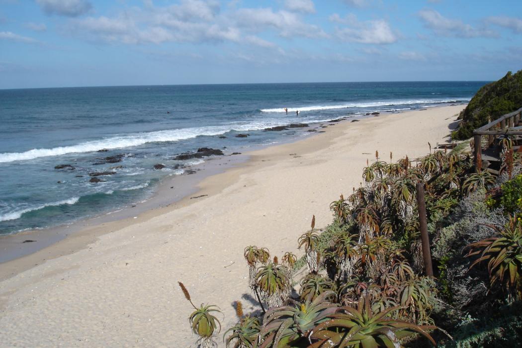 Sandee Jeffreys Bay Beach