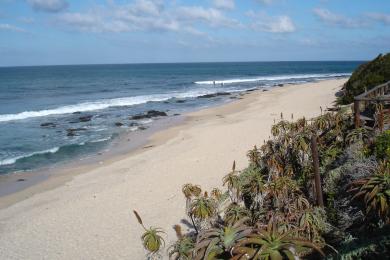 Sandee Jeffreys Bay Beach