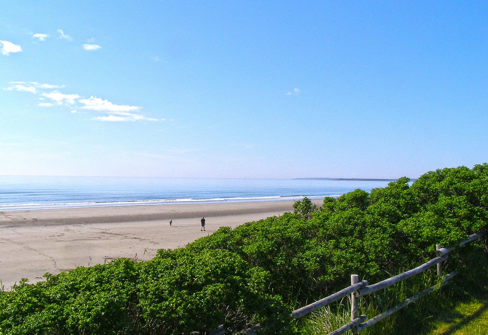 Sandee - Maitlands Beach