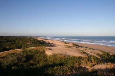 Sandee Mtunzini Beach