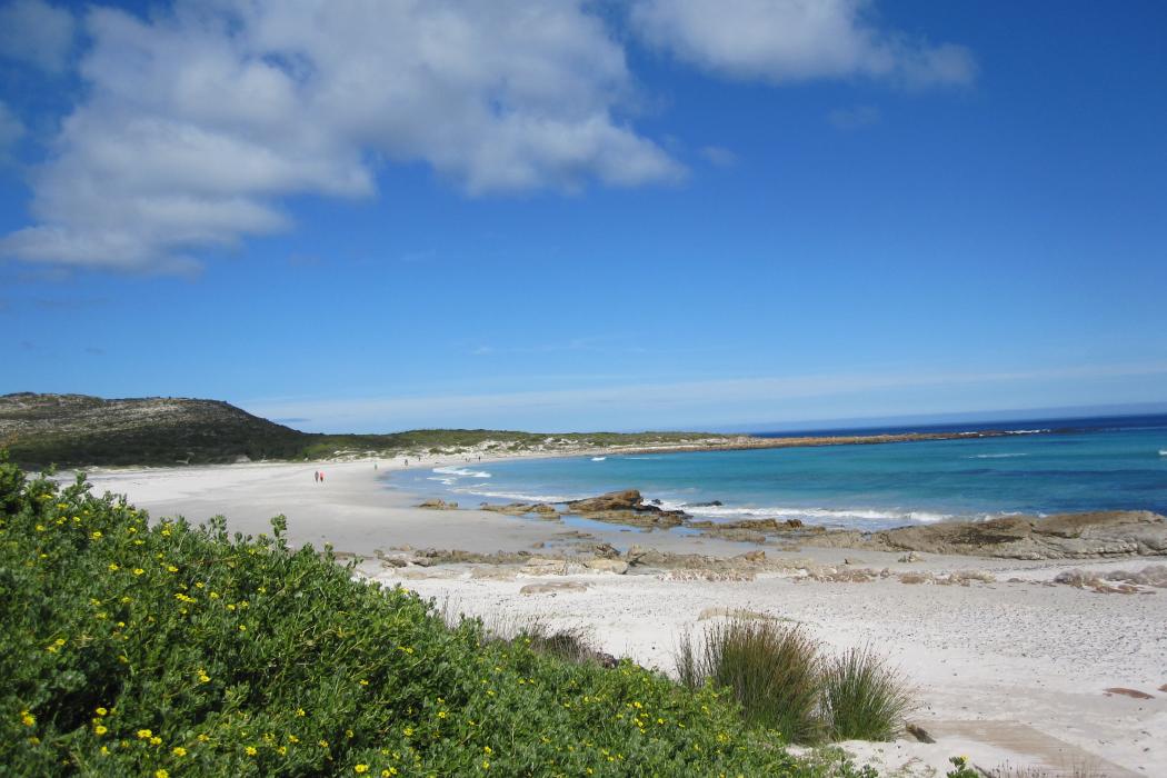 Sandee Noordhoek Beach