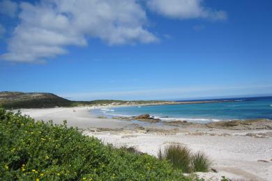 Sandee Noordhoek Beach Photo