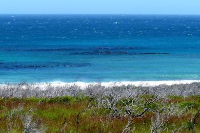 Sandee Olifantsbos Beach