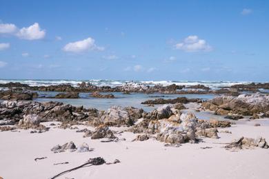 Sandee Pearly Beach