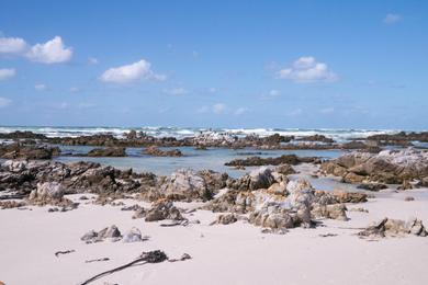 Sandee Pearly Beach Photo