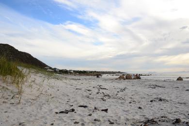 Sandee Pringle Bay Beach